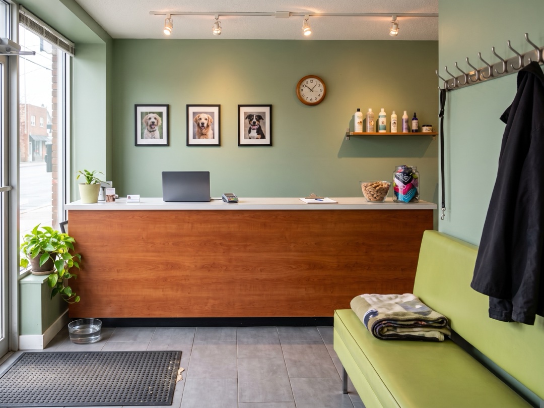 A grooming salon front desk with a wood counter, a green waiting bench and a shelf of shampoos
